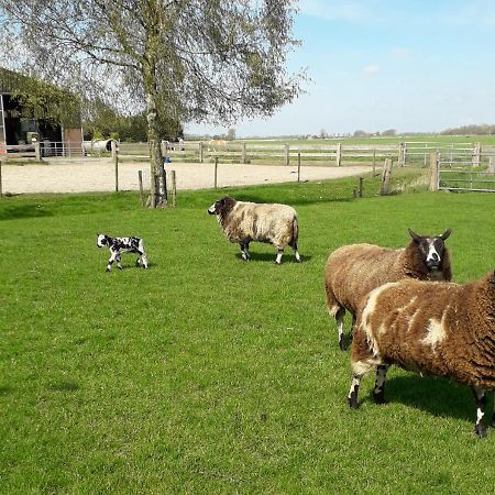 B & B De Gouwe Plek Hoogwoud Luaran gambar