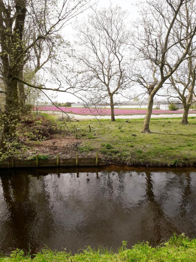 B & B De Gouwe Plek Hoogwoud Luaran gambar