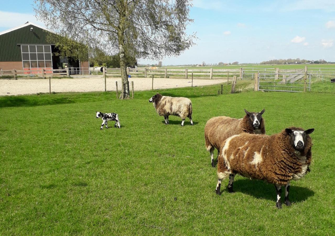 B & B De Gouwe Plek Hoogwoud Luaran gambar