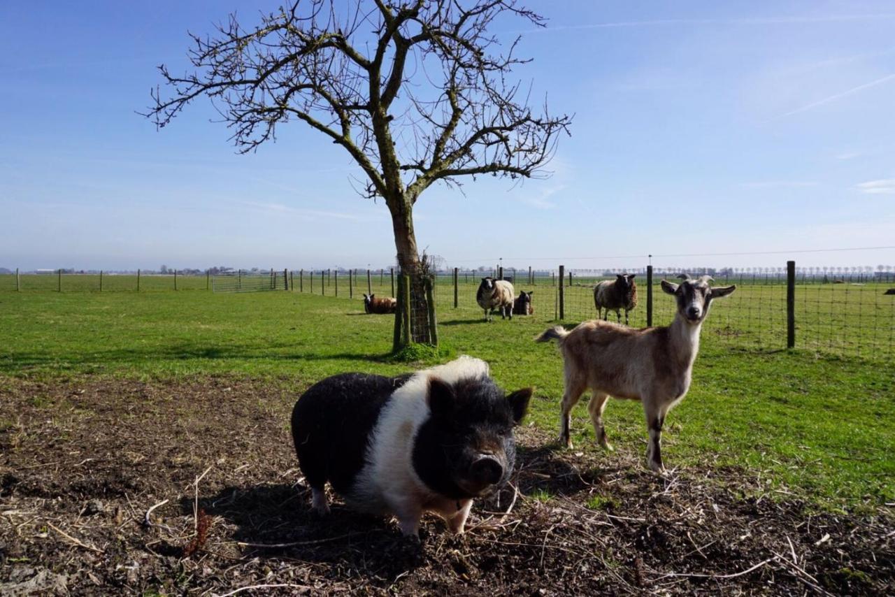 B & B De Gouwe Plek Hoogwoud Luaran gambar